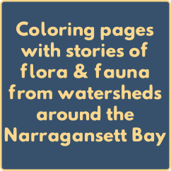 Coloring pages with stories of flora and fauna from watersheds around the Narragansett Bay